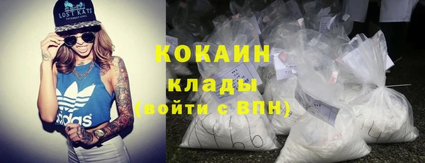 индика Алексин