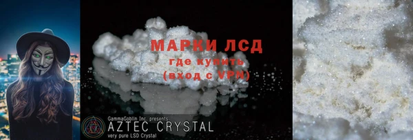 индика Алексин