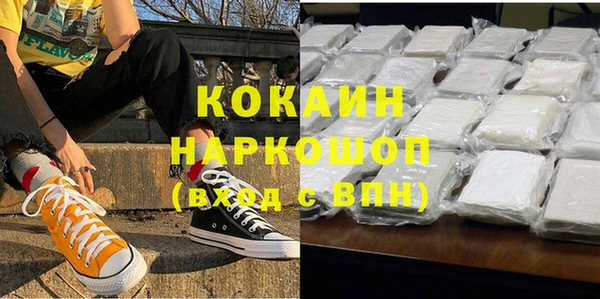 индика Алексин