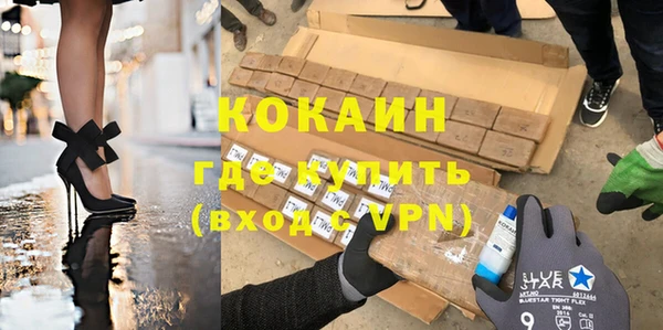 индика Алексин